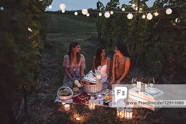 Friends having a picnic in a vineyard on summer night