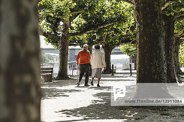 Senior couple walking in park  rear view