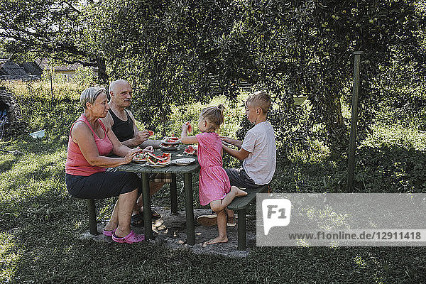 Grandparents spending time together with grandson and granddaughter in the garden eating watermelon