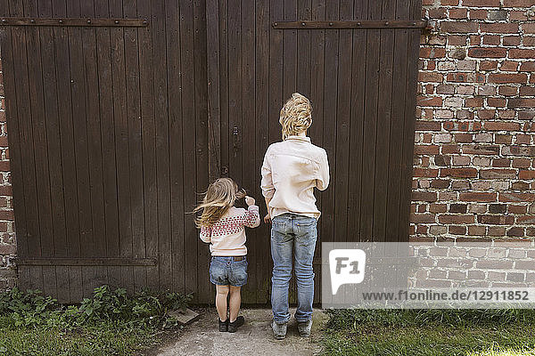 Back view of brother and his little sister standing in front of wooden door