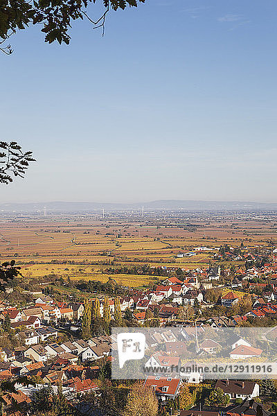 Germany Rhineland-Palatinate  Pfalz  German Wine Route  wine village Gimmeldingen and autumn vineyards  Rhine Valley in distance