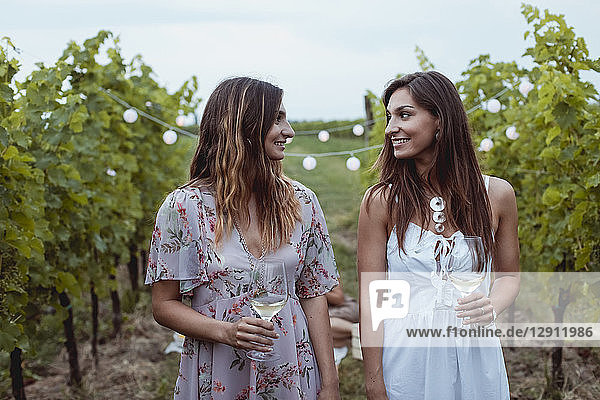 Young women walkig in vineyard  having a picnic  drinking wine