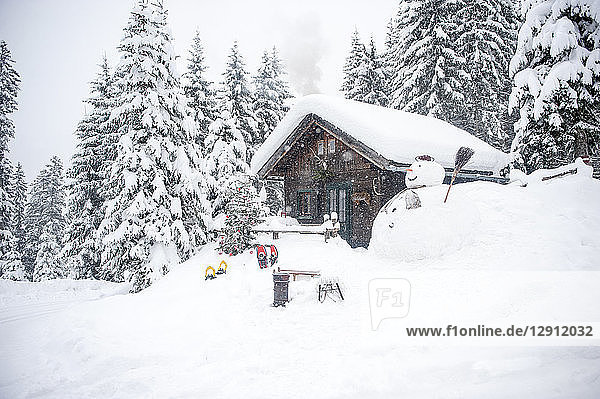 Austria  Altenmarkt-Zauchensee  snowman  sledges and Christmas tree at wooden house in snow