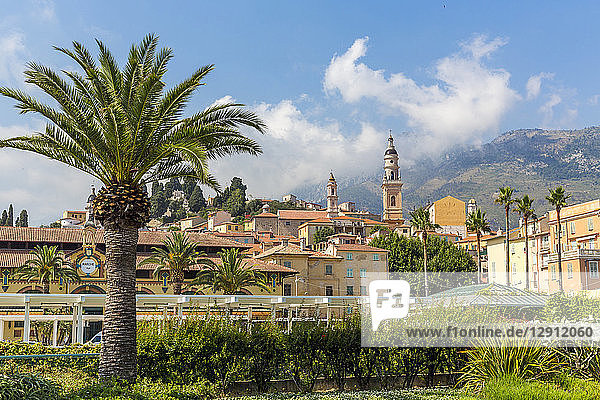 France  Cote d'Azur  Menton  old town with cathedral Saint-Michel