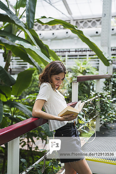 Young woman in greenhouse  reading book