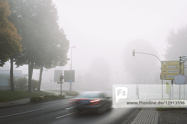 Man and dog crossing street on misty day in autumn