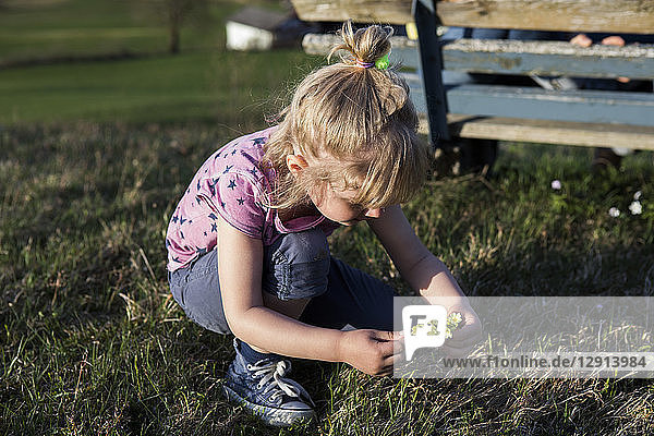 Girl picking flowers on a meadow