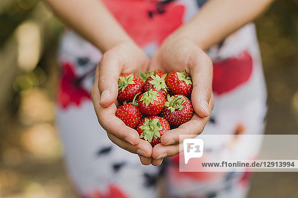Young woman holding handful of strawberries