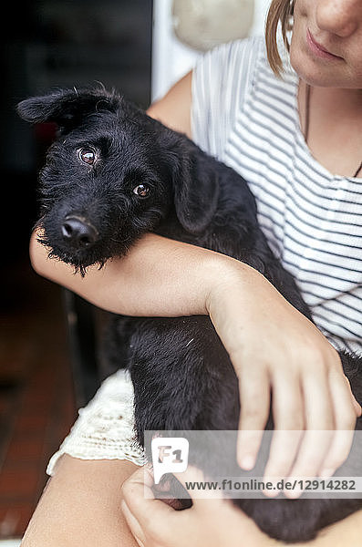 Portrait of black puppy on girl's lap
