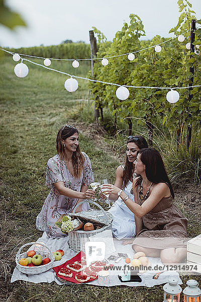 Friends having a summer picnic in vineyard