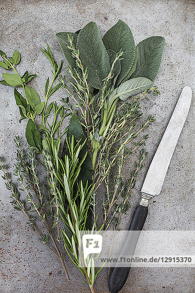 Fresh Provencal herbs and a knife