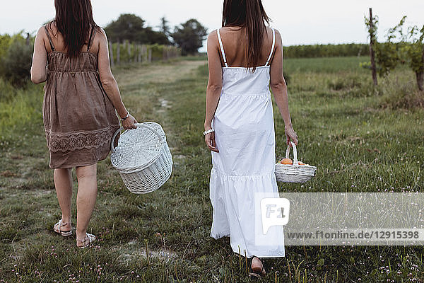 Friends walking to vineyard carrying picnic baskets