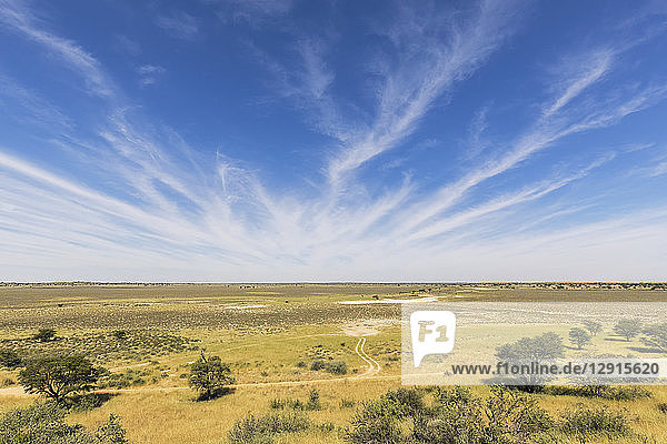 Africa  Botswana  Kgalagadi Transfrontier Park  Kalahari  Polentswa Pan and waterhole