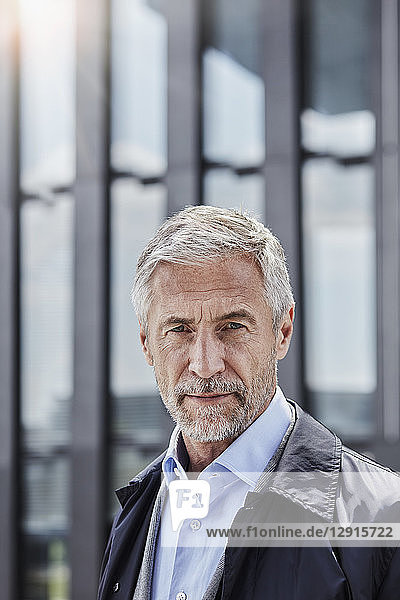Portrait of serious businessman with grey hair and beard