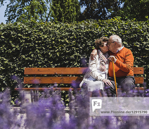 Senior couple sitting on bench in a park  kissing