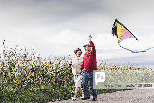 Happy senior couple with kite in rural landscape