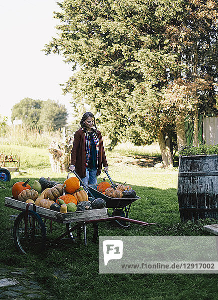 Woman with wheelbarrow of harvested pumpkins on a meadow