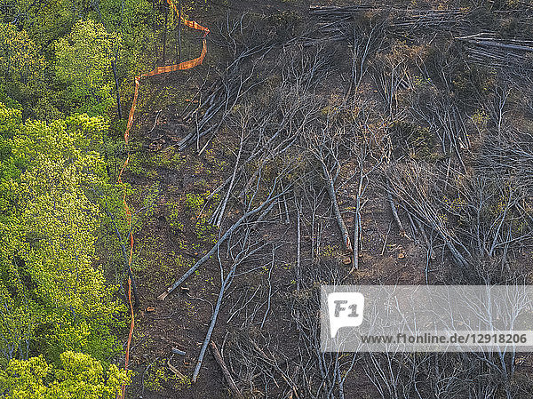 Luftaufnahme von umgestürzten Bäumen nach der Landrodung  Snellville  Georgia  USA