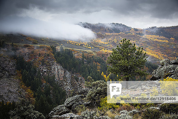 Scenic landscape with fog at Black Canyon of theÂ GunnisonÂ National Park in autumn Â Colorado  USA