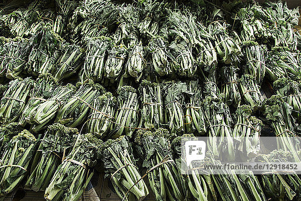 Großer Haufen gebundener Bündel frischer Brokkoli  Myanmar  Shan  Myanmar