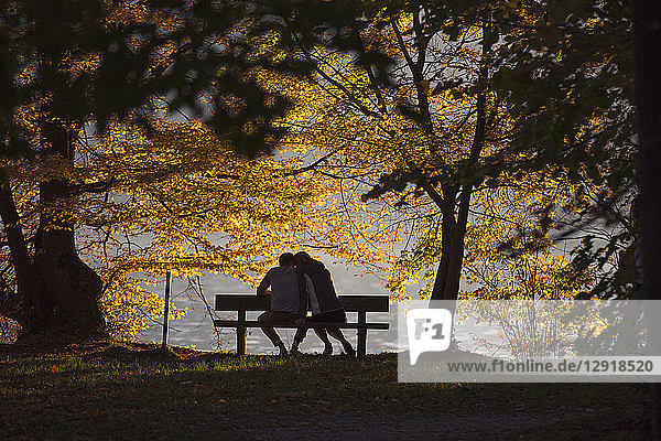Couple siting on bench on lakeshore under trees in autumn  Gmunden  Upper Austria  Austria