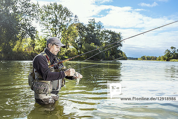 Ein Fischer steht mit einem Fisch in der Hand hüfttief im Wasser  Hamilton  Ontario  Kanada