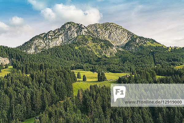 Landschaft mit Bergen  Hügeln und Wald  Bern  Schweiz