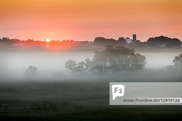 Ruhige Szene mit einer Wiese und Bäumen im Nebel bei Sonnenaufgang  St. Anna  Wisconsin  USA