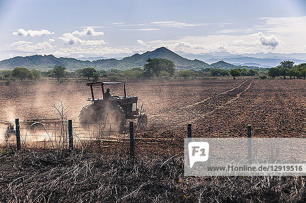 Rural scene with tractor working in field  Cabo San Lucas  Baja California Sur  Mexico