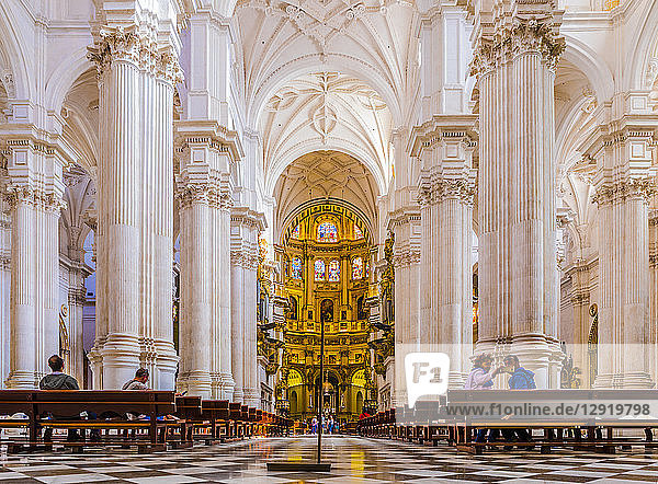 Kathedrale von Granada  Granada  Andalusien  Spanien  Europa