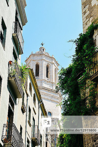 Girona Cathedral (Cathedral of Saint Mary of Girona) a Roman Catholic church Girona Catalonia Spain Europe