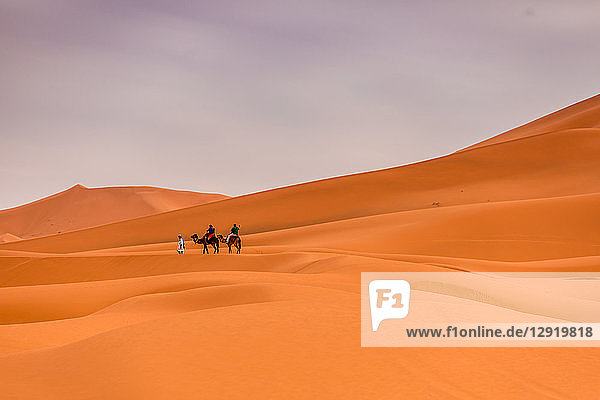 Wüste Merzouga  Marokko  Nordafrika