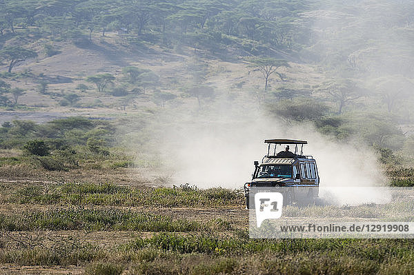 A safari vehicle driving in the Ndutu area  Ndutu  Ngorongoro Conservation Area  Serengeti  Tanzania  East Africa  Africa