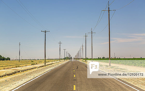 Straßen- und Strommasten  Kalifornien  Vereinigte Staaten von Amerika  Nordamerika