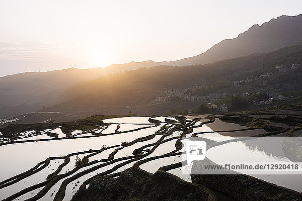 Duoyishu-Reisterrassen in der Morgendämmerung  UNESCO-Welterbe  Yuanyang  Provinz Yunnan  China