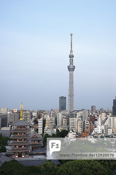 Blick über die Stadt mit dem Tokyo Skytree und der fünfstöckigen Pagode  Tokio  Japan  Asien