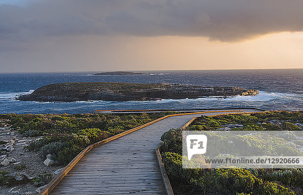 Board walk towards the Admirals Arch in the Flinders Chase National Park  Kangaroo Island  South Australia  Australia  Pacific