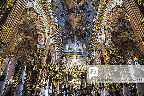 Interior of the Bernardine Church and Monastery  Lviv  UNESCO World Heritage Site  Ukraine