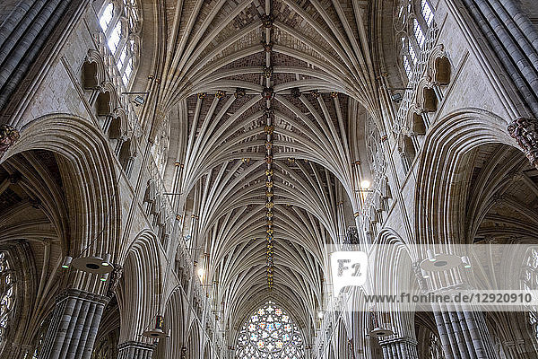 Gewölbe des Kirchenschiffs mit Blick nach Westen  Kathedrale von Exeter  Exeter  Devon  England  Vereinigtes Königreich  Europa
