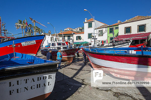 Bunte Fischerboote im Hafen von Camara de Lobos  Madeira  Portugal  Atlantik