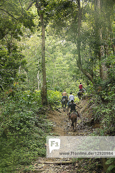 Campesinos riding horses along the Pueblito trail in the heart of Tayrona National Park  Colombia  South America