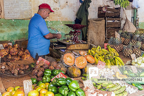 A local market in Havana  Cuba  West Indies  Central America