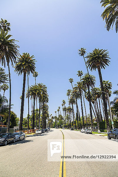 Beverly Drive  Beverly Hills  California  United States of America  North America