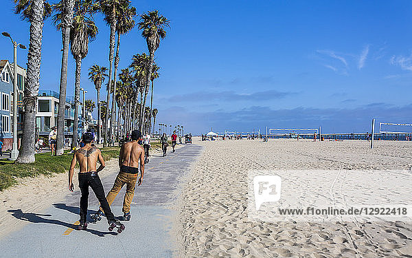 Venice Beach  Los Angeles  Kalifornien  Vereinigte Staaten von Amerika  Nordamerika