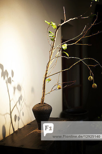 Nahaufnahme des Ikebana-Arrangements in brauner Vase  Zweig mit Blättern und Früchten.
