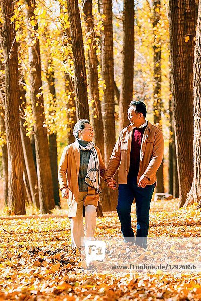 Elderly couple walking in the woods