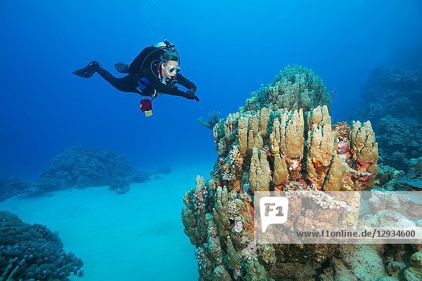 Female scuba diver look at on beautiful coral reef.