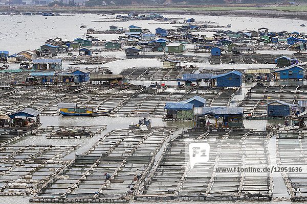 China  Fujiang Province  Xiapu County  Fish farms  aquaculture.