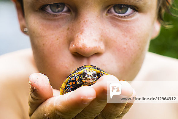 A boy 8 years old is holding a young tortle in his hand  Chatham Bay  Union  St-Vincent  Saint Vincent and the Grenadines  Lesser Antilles  West Indies  Windward Islands  Caribbean  Central America