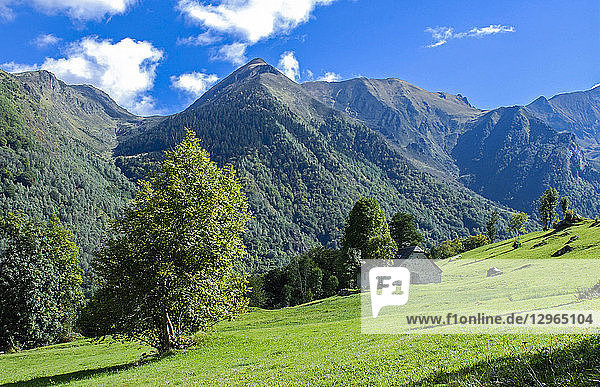 Frankreich  Nationalpark Pyrenäen  Region Okzitanien  Val d'Azun  Col de Borderes (Bergpass) zwischen Arrens und Estaing